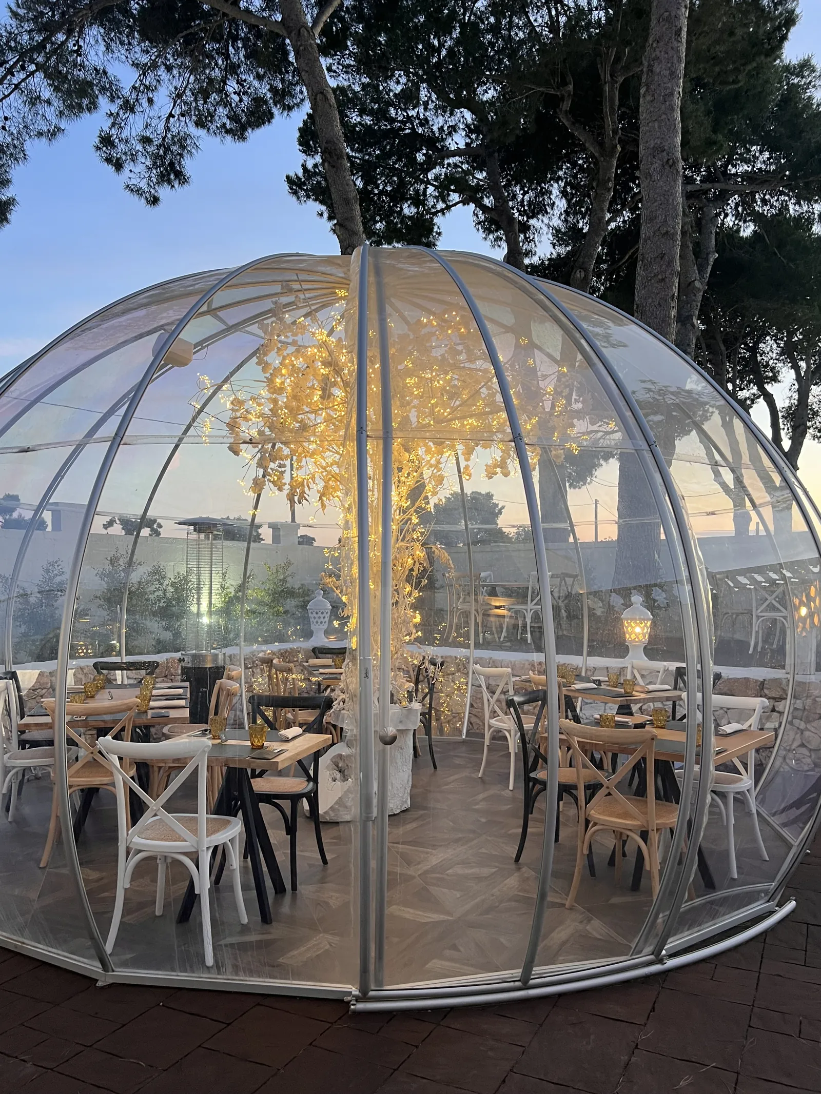Cupola trasparente con tavoli apparecchiati e un albero di luci, all’aperto tra i pini al tramonto.